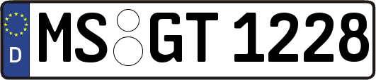 MS-GT1228