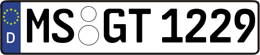 MS-GT1229