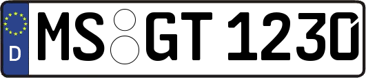 MS-GT1230