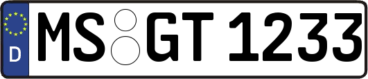 MS-GT1233