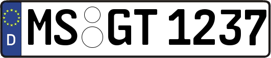 MS-GT1237