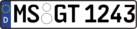 MS-GT1243