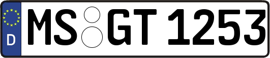 MS-GT1253
