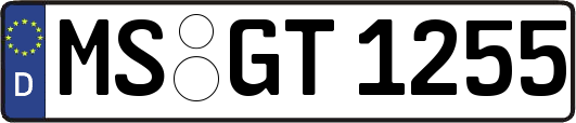 MS-GT1255