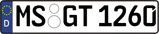 MS-GT1260