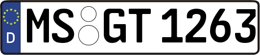 MS-GT1263