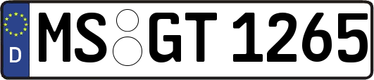 MS-GT1265