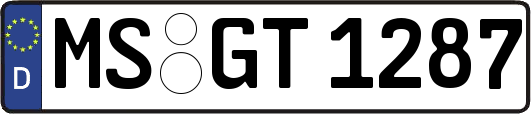 MS-GT1287