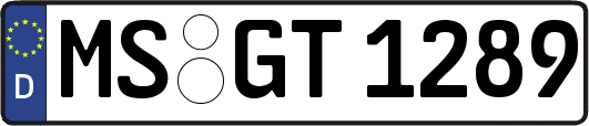 MS-GT1289
