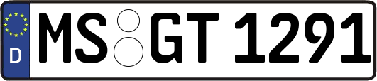 MS-GT1291