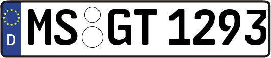 MS-GT1293