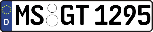 MS-GT1295