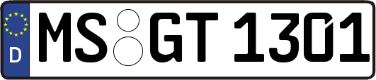 MS-GT1301
