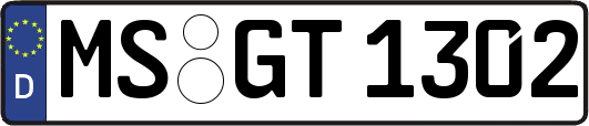 MS-GT1302