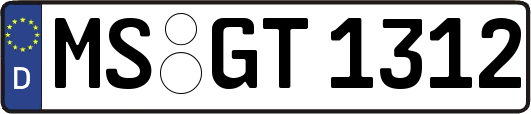 MS-GT1312