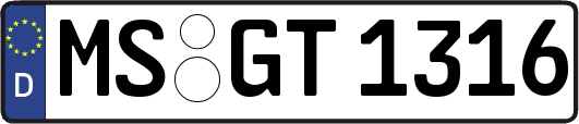 MS-GT1316