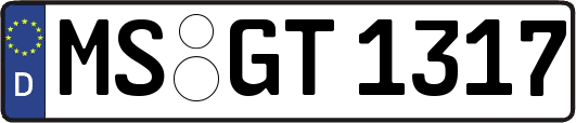MS-GT1317