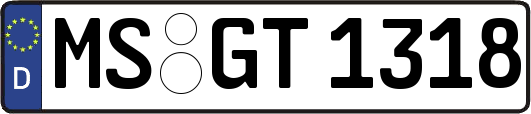 MS-GT1318