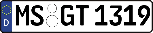 MS-GT1319