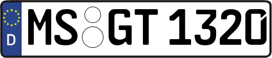 MS-GT1320