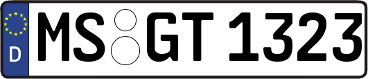 MS-GT1323
