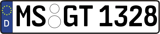MS-GT1328