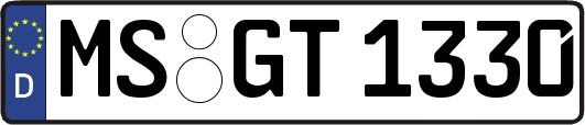 MS-GT1330