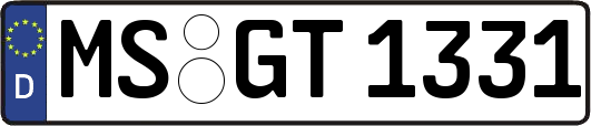 MS-GT1331