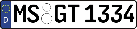MS-GT1334