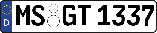 MS-GT1337