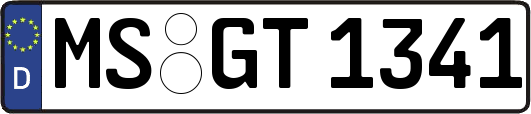 MS-GT1341