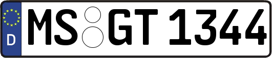 MS-GT1344