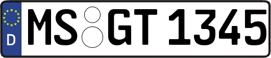 MS-GT1345