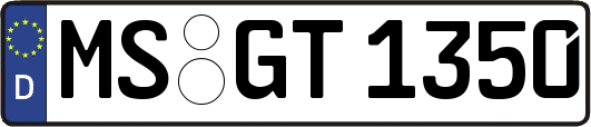 MS-GT1350