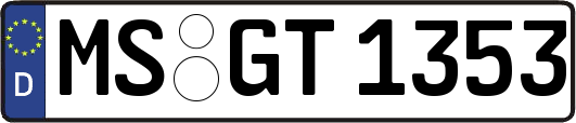 MS-GT1353