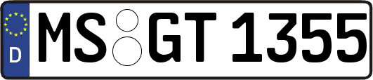MS-GT1355