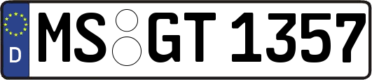 MS-GT1357