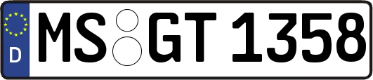 MS-GT1358