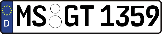 MS-GT1359