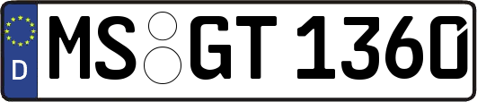 MS-GT1360