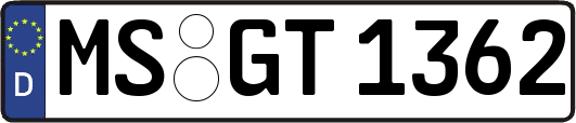 MS-GT1362