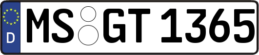 MS-GT1365