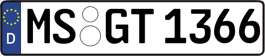 MS-GT1366