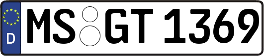 MS-GT1369
