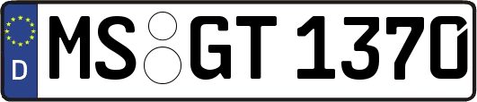 MS-GT1370
