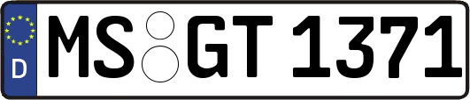 MS-GT1371