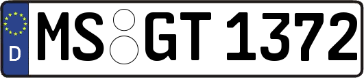 MS-GT1372