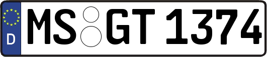 MS-GT1374