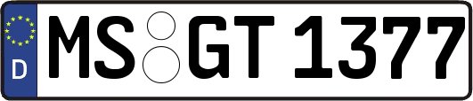 MS-GT1377