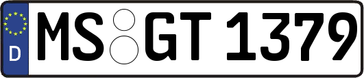 MS-GT1379